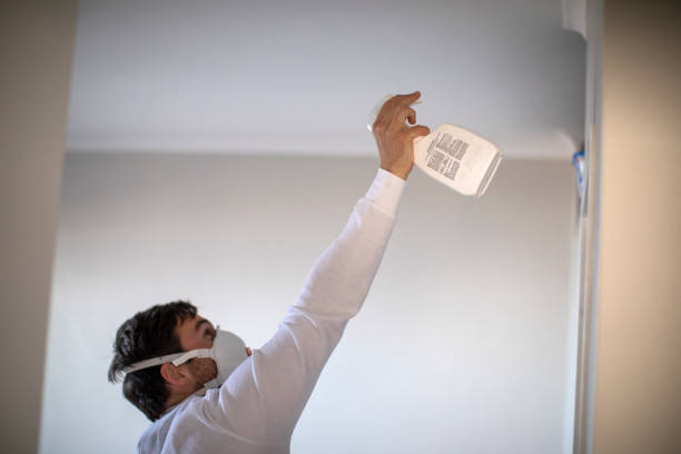 Best Toxic Mold Removal  in Cerro Gordo, IL