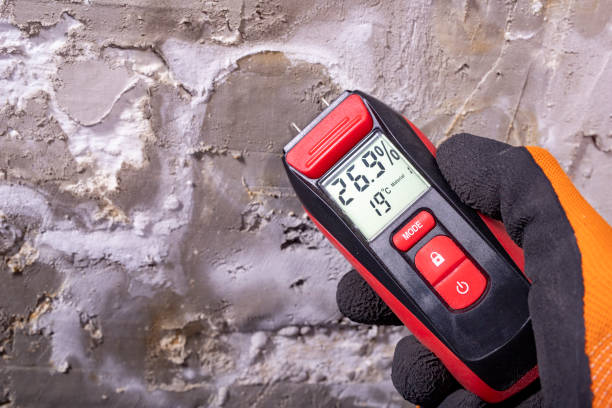 Best Mold Removal Company Near Me  in Cerro Gordo, IL