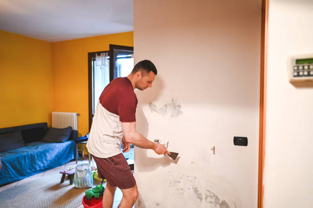 Best Commercial Mold Removal  in Cerro Gordo, IL